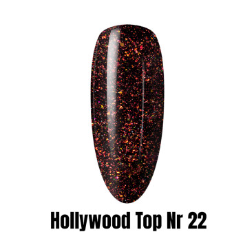 Hollywood Top no wipe 1kg Nr 22