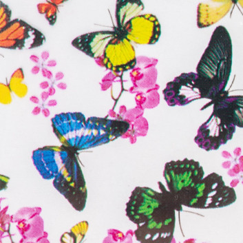 Folia transferowa Butterflies 100 cm Nr 14