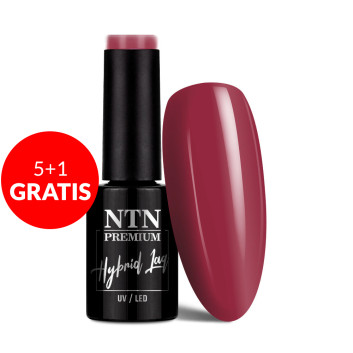 5+1gratis  Lakier hybrydowy Ntn Premium Passion for Love Collection 5g Nr 207
