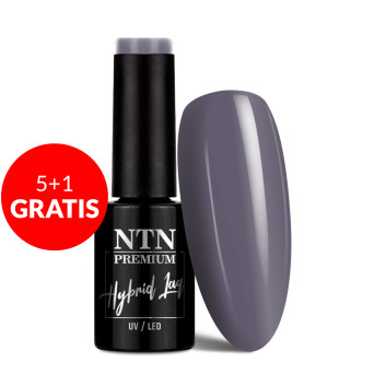 5+1gratis Lakier hybrydowy NTN Premium After Midnight Collection 5g Nr 65