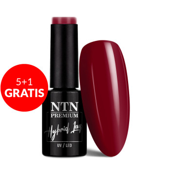 5+1gratis Lakier hybrydowy NTN Premium After Midnight Collection 5g Nr 67