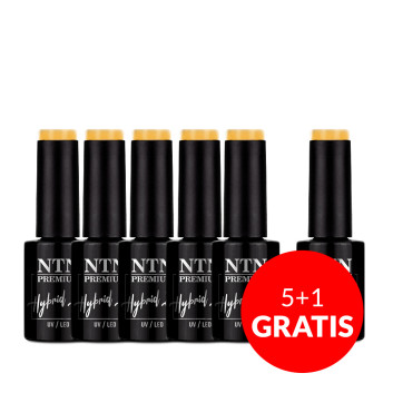 5+1gratis Lakier hybrydowy Ntn Premium Multicolor Collection 5g Nr 84