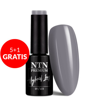 5+1gratis Lakier hybrydowy Ntn Premium Passion for Love Collection 5g Nr 202