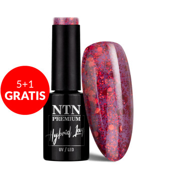 5+1gratis Lakier hybrydowy Ntn Premium Passion for Love Collection 5g Nr 206
