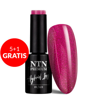 5+1gratis Lakier hybrydowy Ntn Premium Passion for Love Collection 5g Nr 205