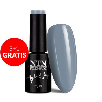 5+1gratis Lakier hybrydowy Ntn Premium Soft Touch Collection 5g Nr 05