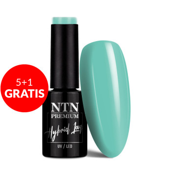 5+1gratis Lakier hybrydowy NTN Premium Soft Touch Collection 5G NR 08