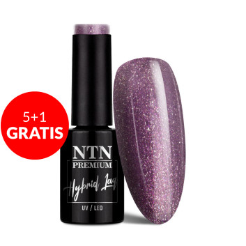 5+1gratis Lakier hybrydowy NTN Premium Uptown Girl Collection 5G NR 19