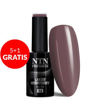 5+1gratis Lakier hybrydowy NTN Premium Topless Collection 5G NR 11