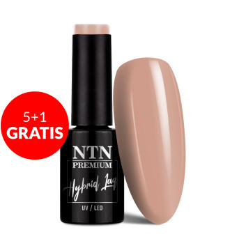 5+1gratis Lakier hybrydowy NTN Premium Topless Collection 5g Nr 14