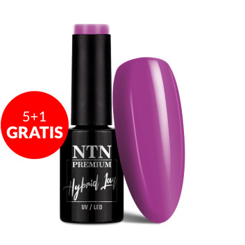 5+1gratis Lakier hybrydowy NTN Premium Uptown Girl Collection 5G NR 20