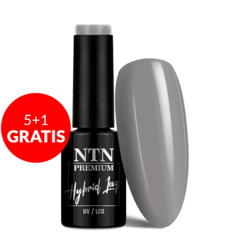 5+1gratis Lakier hybrydowy NTN Premium Day Dreaming Collection 5g Nr 57