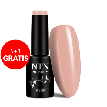 5+1gratis Lakier hybrydowy NTN Premium Day Dreaming Collection 5G NR 60