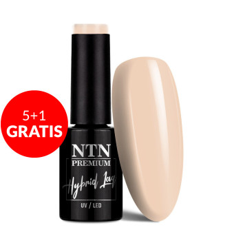 5+1gratis Lakier hybrydowy NTN Premium Day Dreaming Collection 5G NR 61