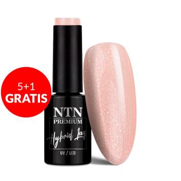 5+1gratis Lakier hybrydowy NTN Premium Day Dreaming Collection 5g Nr 63