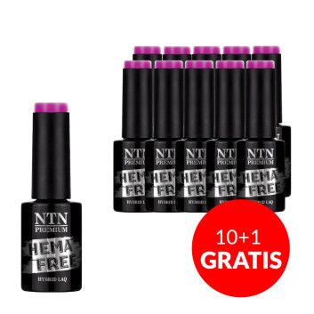 10+1gratis Lakier hybrydowy NTN Premium Design Your Style Collection HEMA/Di-HEMA Free 5g Nr 41