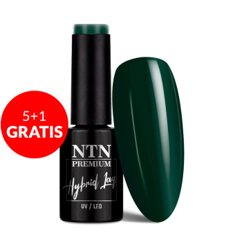 5+1gratis Lakier hybrydowy NTN Premium After Midnight Collection 5G NR 71