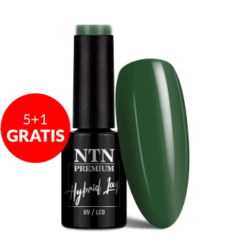 5+1gratis Lakier hybrydowy NTN Premium Fiesta Collection 5G NR 76