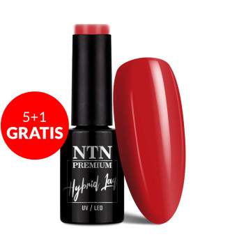 5+1gratis Lakier hybrydowy NTN Premium Fiesta Collection 5G NR 80