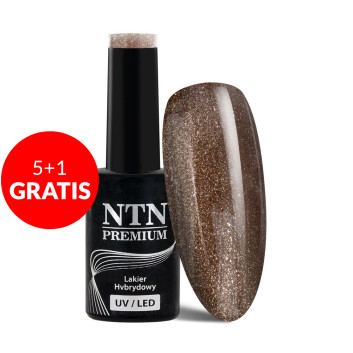 5+1gratis Lakier hybrydowy Ntn Premium Fiesta Collection 5G NR 81