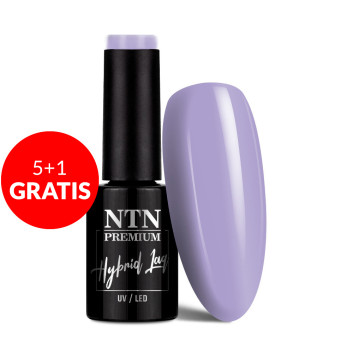 5+1gratis Lakier hybrydowy Ntn Premium Dessert Collection 5g Nr 94