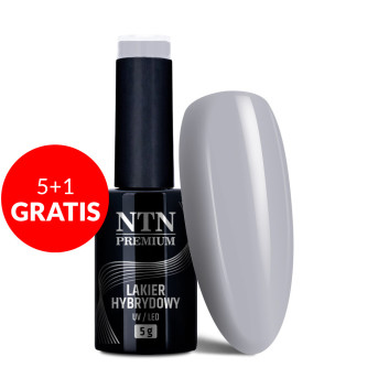 5+1gratis Lakier hybrydowy Ntn Premium Dessert Collection 5g Nr 98