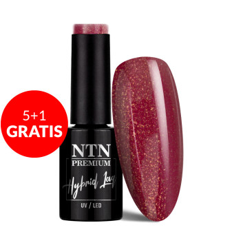 5+1gratis Lakier hybrydowy Ntn Premium Romantica Collection 5g Nr 102