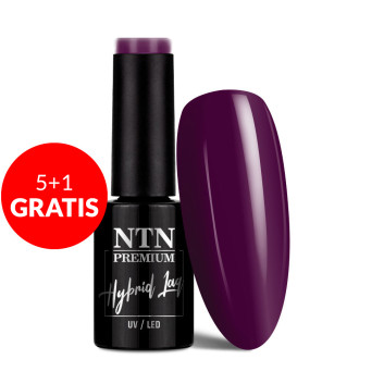 5+1gratis Lakier hybrydowy Ntn Premium Romantica Collection 5g Nr 104