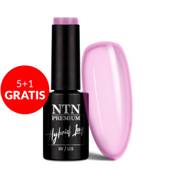 5+1gratis  Lakier hybrydowy Ntn Premium Romantica Collection 5g Nr 105