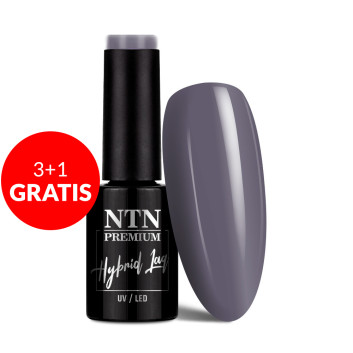 3+1gratis Lakier hybrydowy NTN Premium After Midnight Collection 5g Nr 65