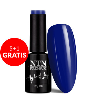 5+1gratis Lakier hybrydowy Ntn Premium Splash Collection 5g Nr 125