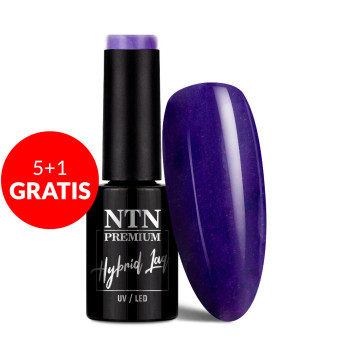 5+1gratis Lakier hybrydowy Ntn Premium Seductive Collection 5g Nr 128