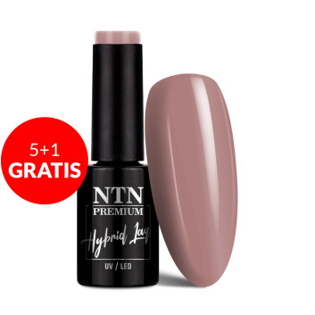 5+1gratis Lakier hybrydowy Ntn Premium Seductive Collection 5g Nr 133