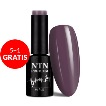 5+1gratis Lakier hybrydowy Ntn Premium Seductive Collection 5g Nr 134