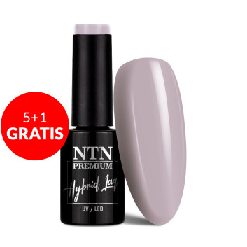 5+1gratis Lakier hybrydowy Ntn Premium Seductive Collection 5g Nr 135