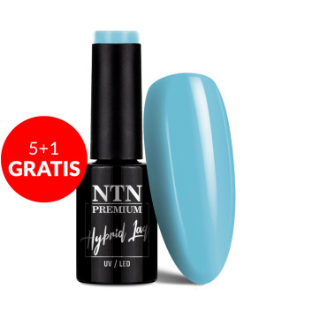 5+1gratis Lakier hybrydowy Ntn Premium California Collection 5g Nr 136