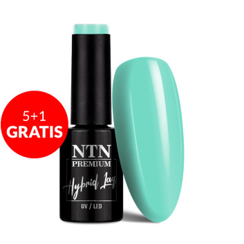 5+1gratis Lakier hybrydowy Ntn Premium California Collection 5g Nr 137