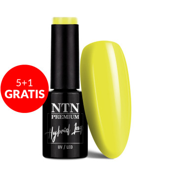 5+1gratis Lakier hybrydowy Ntn Premium Delight Sorbet Collection 5g Nr 147