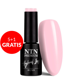 5+1gratis Lakier hybrydowy Ntn Premium Delight Sorbet Collection 5g Nr 148