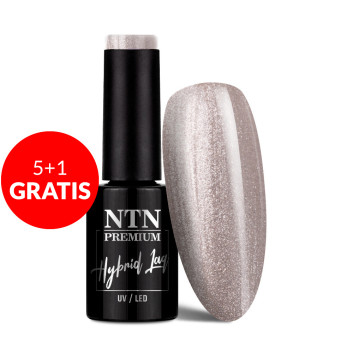 5+1gratis Lakier hybrydowy Ntn Premium Passion for Love Collection 5g Nr 199