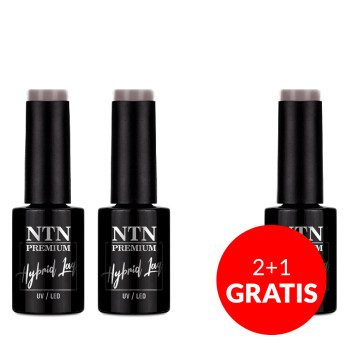 2+1gratis Lakier hybrydowy Ntn Premium Passion for Love Collection 5g Nr 201