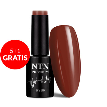 5+1gratis Lakier hybrydowy NTN Premium Springtime selfie 5g Nr 280