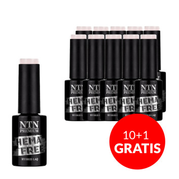 10+1gratis Lakier hybrydowy Ntn Premium Delicate French Hema/di-Hema free 5g Nr 304