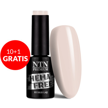 10+1gratis Lakier hybrydowy Ntn Premium Delicate French Hema/di-Hema free 5g Nr 304