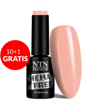 10+1gratis Lakier hybrydowy Ntn Premium Milkshake Hema/di-Hema free 5g Nr 309