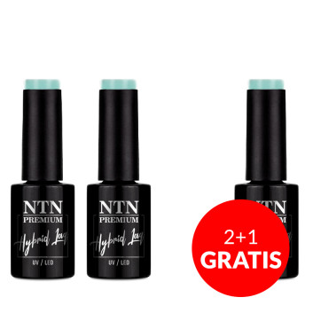 2+1gratis Lakier hybrydowy NTN Premium Garden Party Collection 5g Nr 178