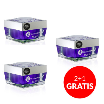 2+1gratis Żel do zdobień Artistic Gel paint gel ombre ornamenty Allepaznokcie Art Grey Szary HEMA /Di-HEMA free 5g Nr 10