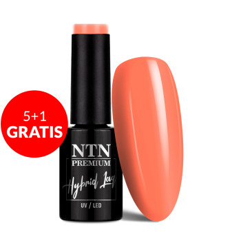 5+1gratis Lakier hybrydowy Ntn Premium Delight Sorbet Collection 5g Nr 152