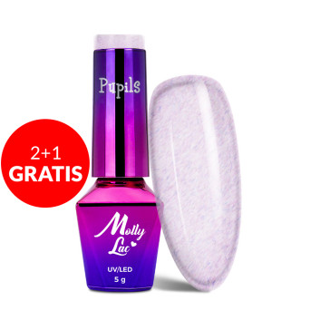 2+1gratis Lakier hybrydowy MollyLac Pupils Melange 5g Nr 260