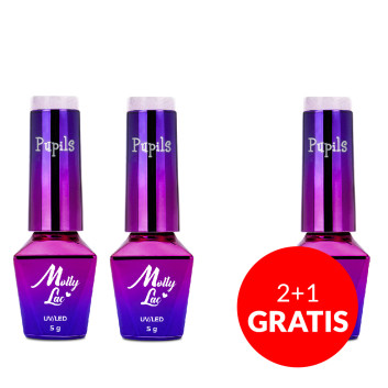 2+1gratis Lakier hybrydowy MollyLac Pupils Melange 5g Nr 260